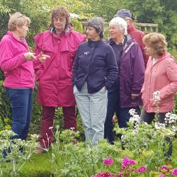 June garden visit at Wellaway, Marston