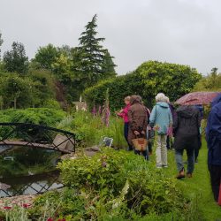June garden visit at Wellaway, Marston